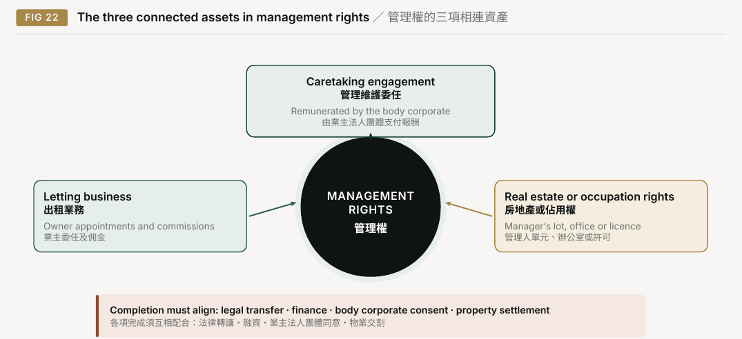 Figure 22. The three connected assets in management rights. Letting business Owner appointments and commissions; Completion must align: legal transfer · finance · body corporate consent · property settlement; Caretaking engagement; Remunerated by the body corporate; MANAGEMENT; RIGHTS; Real estate or occupation rights Manager’s lot, office or licence